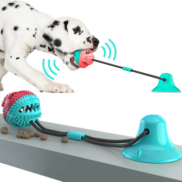 Interactive Pet Chew Leaking Toy™